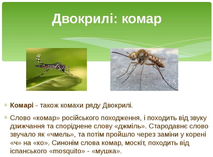 Комарі
