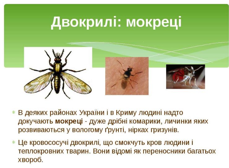 Мокреці